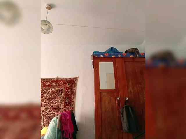 KONFETKAA-1 webcam