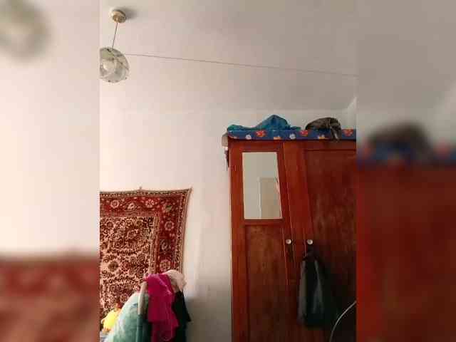 KONFETKAA-1 webcam