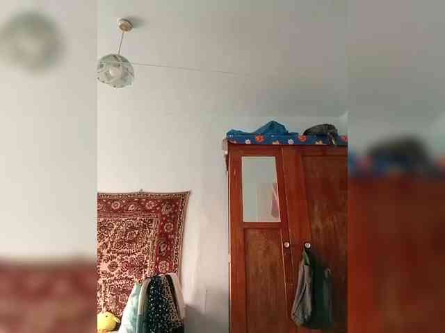 KONFETKAA-1 webcam