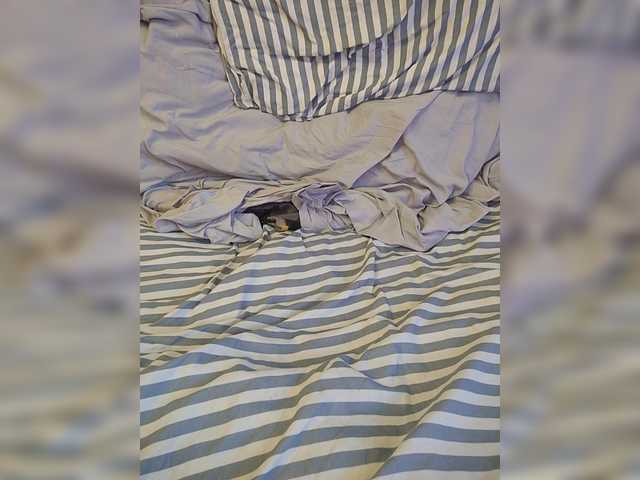 WetTigress's BongaCams show and profile