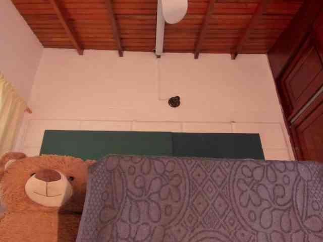 GabbyHaze webcam