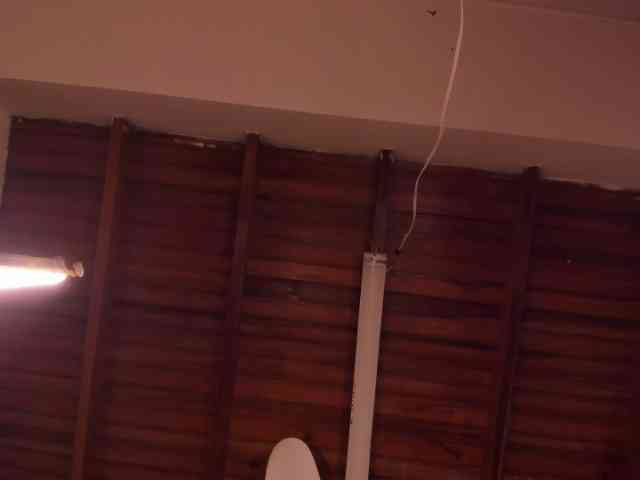 GabbyHaze webcam