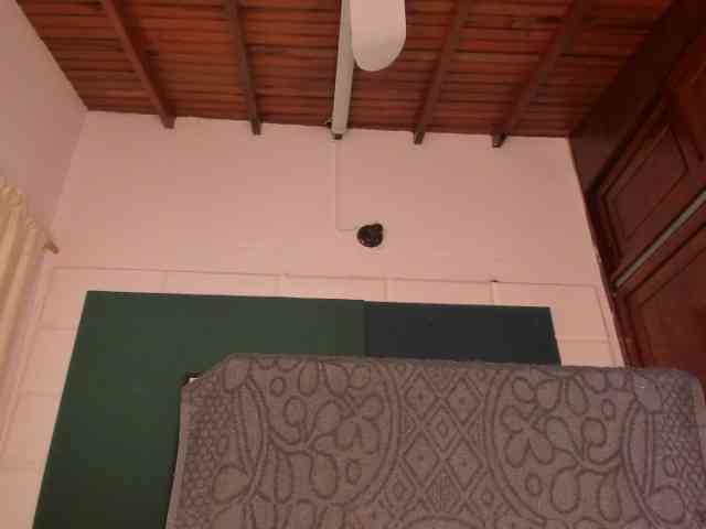 GabbyHaze webcam