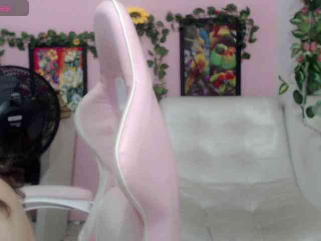 Evil-neighbor webcam