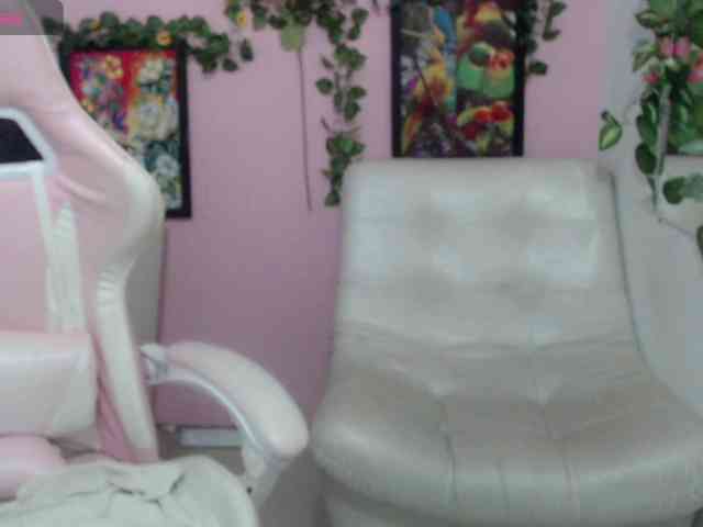 Evil-neighbor webcam