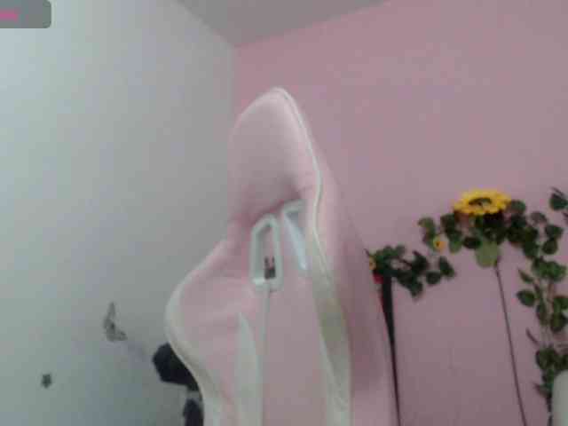 Evil-neighbor webcam