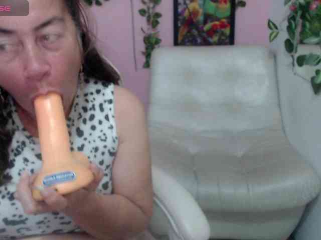 Evil-neighbor webcam