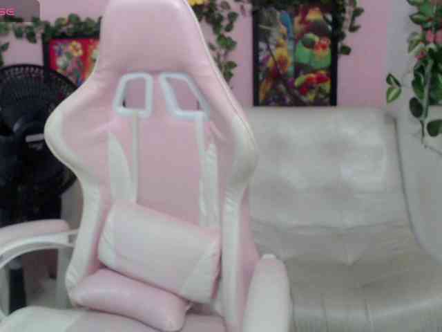 Evil-neighbor webcam