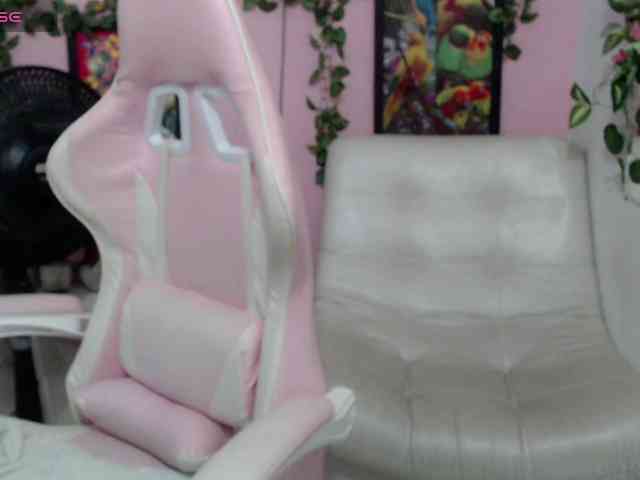 Evil-neighbor webcam