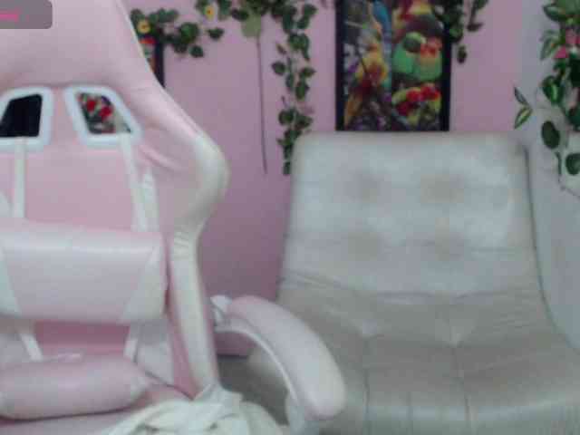 Evil-neighbor webcam