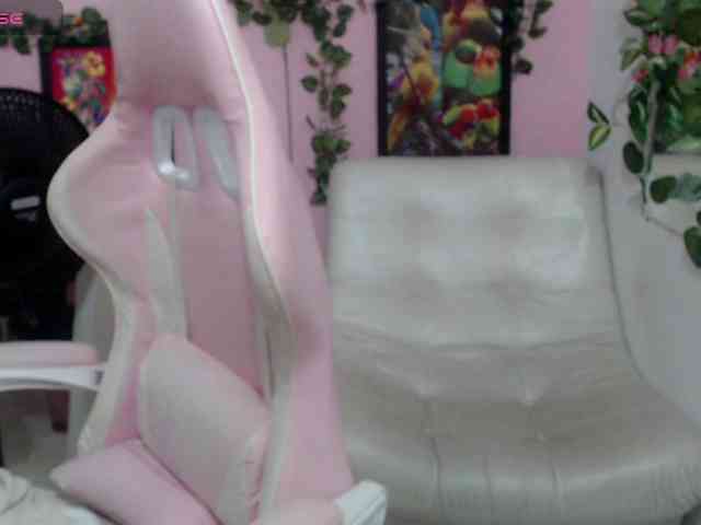 Evil-neighbor webcam