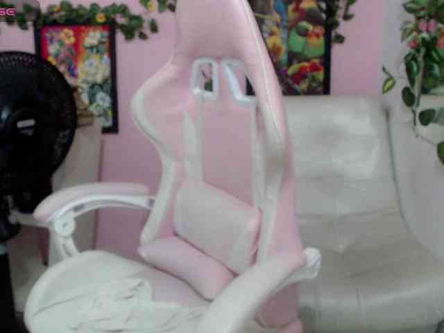 Evil-neighbor webcam