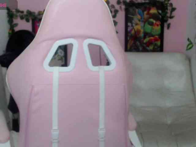 Evil-neighbor webcam