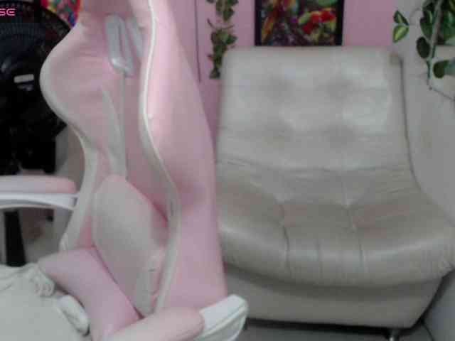 Evil-neighbor webcam