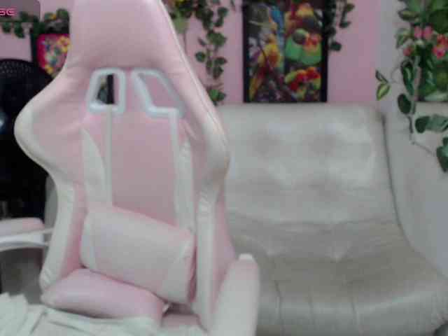 Evil-neighbor webcam