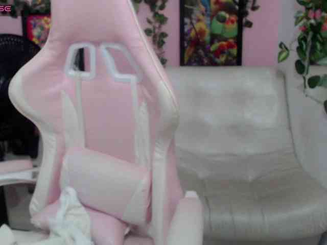 Evil-neighbor webcam