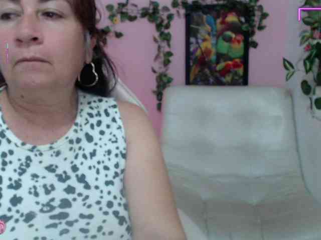 Evil-neighbor webcam