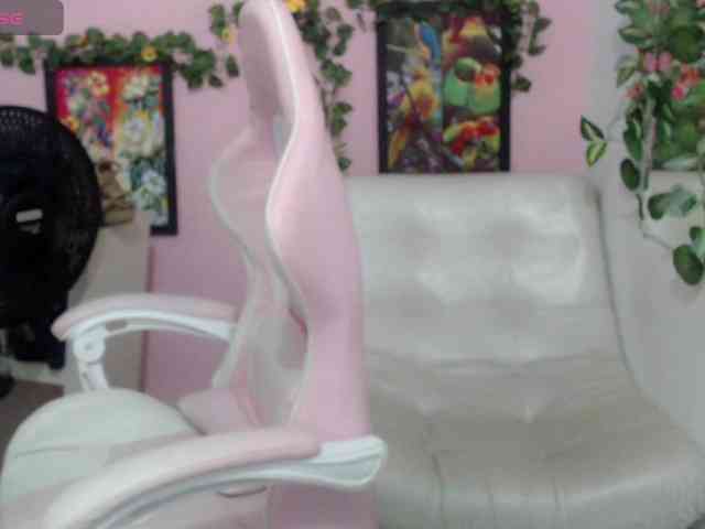 Evil-neighbor webcam