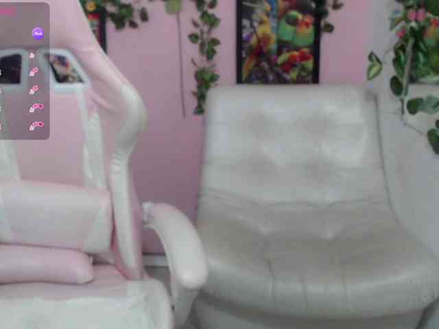 Evil-neighbor webcam