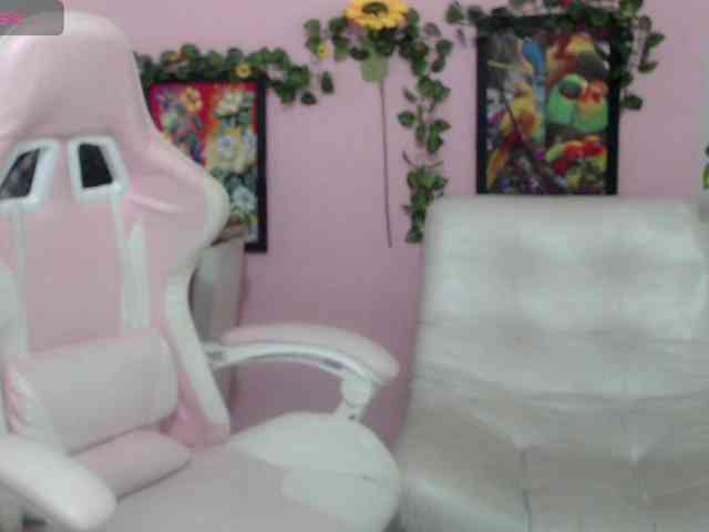 Evil-neighbor webcam