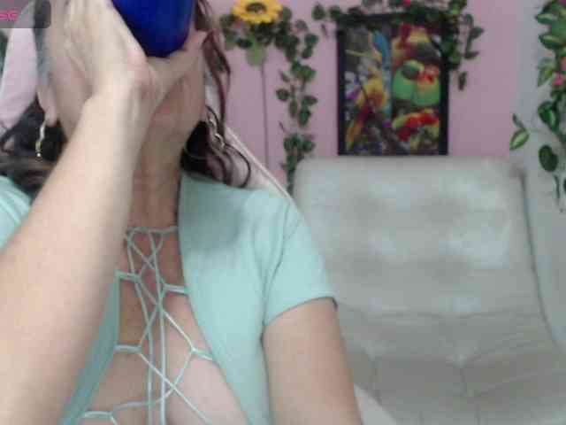 Evil-neighbor webcam