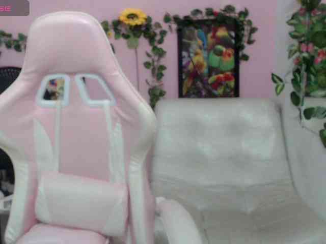 Evil-neighbor webcam