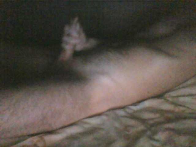 Sikaad
