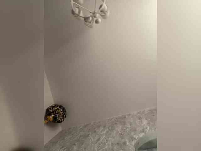 naked chatroom Dream022