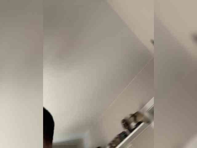 web cam porn Dream022