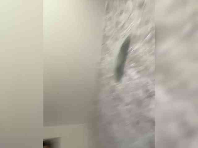 striptease chat room Dream022