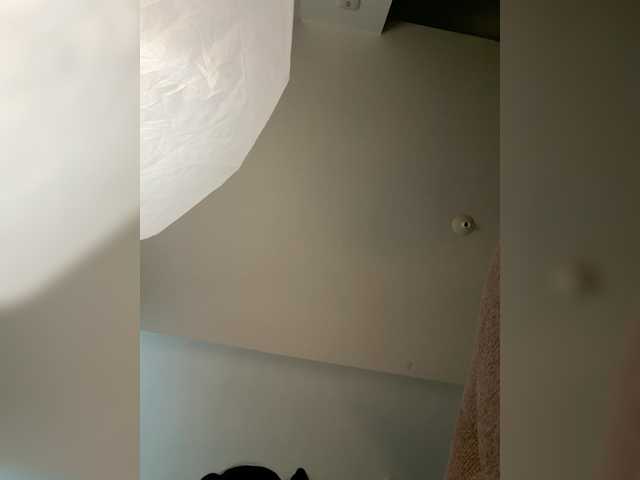 TinyRouse's BongaCams show and profile