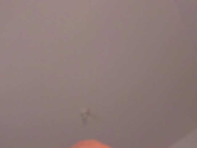 TinyRouse's BongaCams show and profile