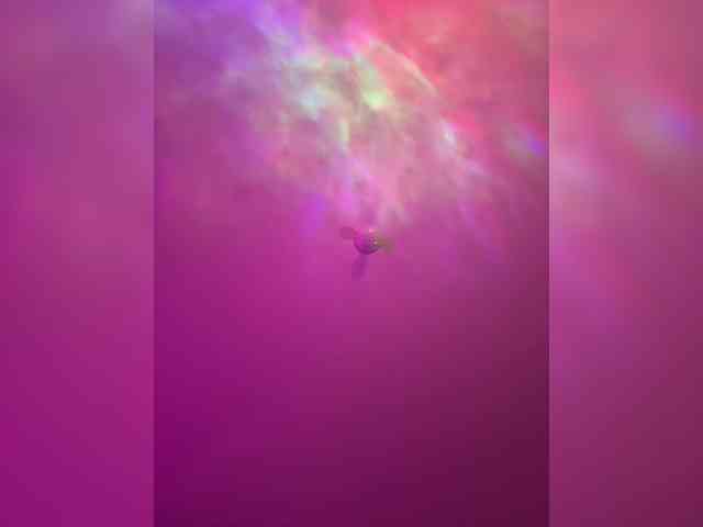 Tinny111 webcam