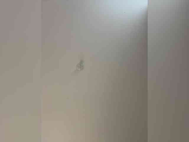 Tinny111 webcam