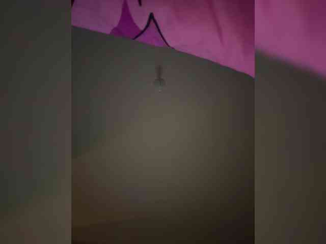 Tinny111 webcam