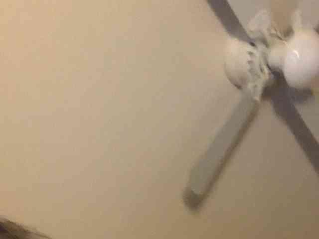 he-ho-he-ro13 he-ho-he-ro13