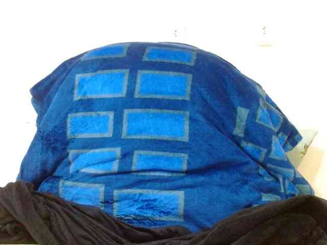 Lilithfire webcam