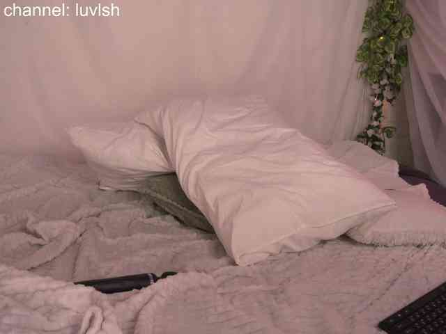 liasha-s webcam