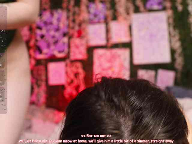 BlueCherry webcam