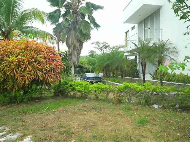 GGIsland webcam