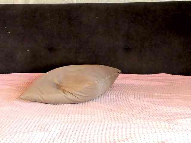 Eva-Merlin webcam