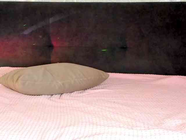 Eva-Merlin webcam