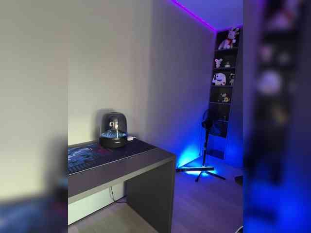 OBAYASHA webcam