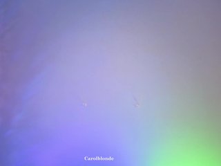 Carolblonde Porn Show