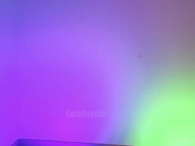  Charlotte-glasses chat room