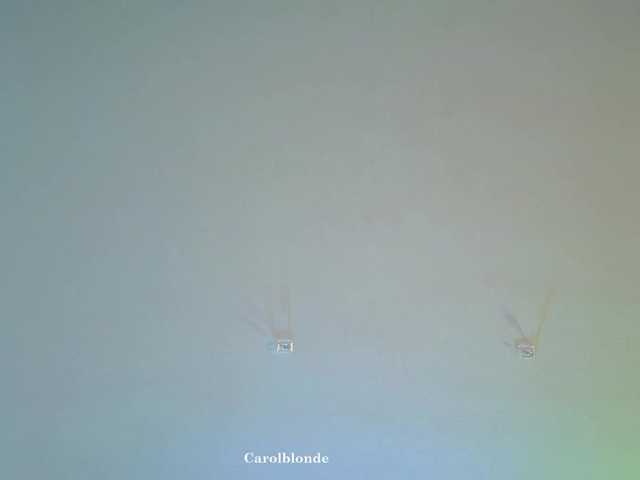 Charlotte-glasses's BongaCams show and profile