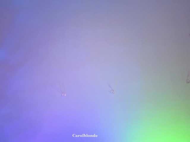 Preview of carolblonde