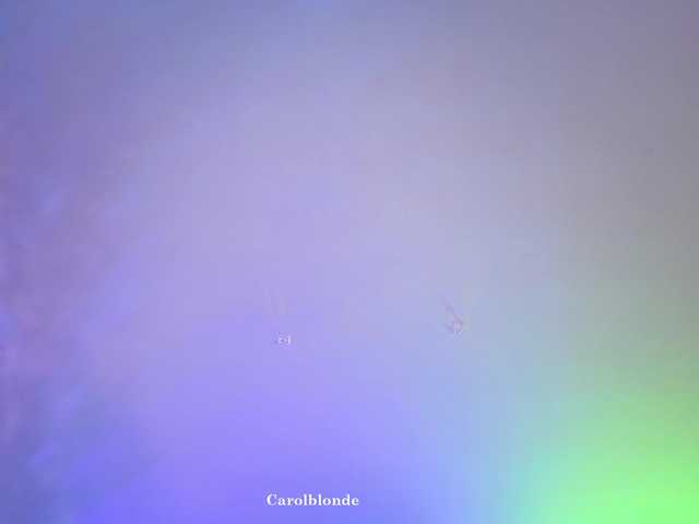 Preview of carolblonde