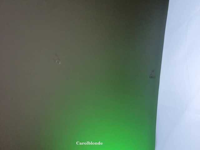 Charlotte-glasses's BongaCams show and profile