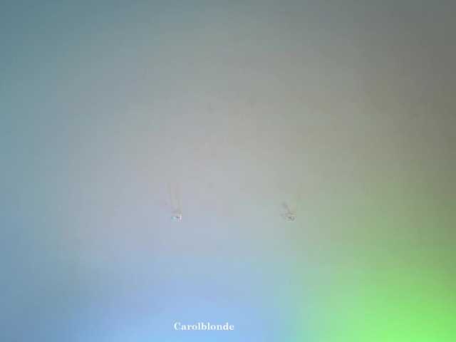 Charlotte-glasses's BongaCams show and profile